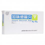 同仁堂 加味感冒丸 同仁堂 加味感冒丸